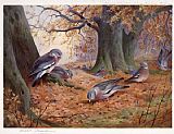 Wood Canvas Paintings - Wood Pigeon on Beech Mast